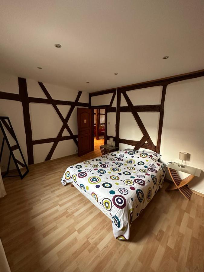 La Grenouille Apartment Turckheim