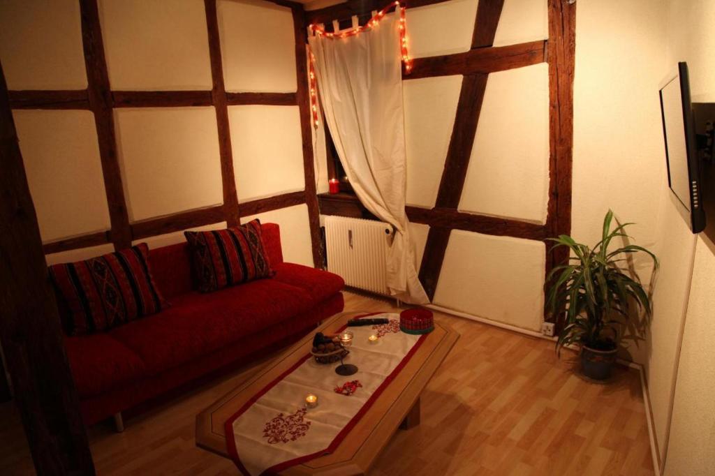 Appartement La Grenouille *