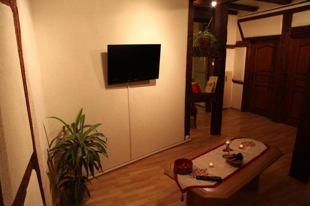 La Grenouille Apartment *