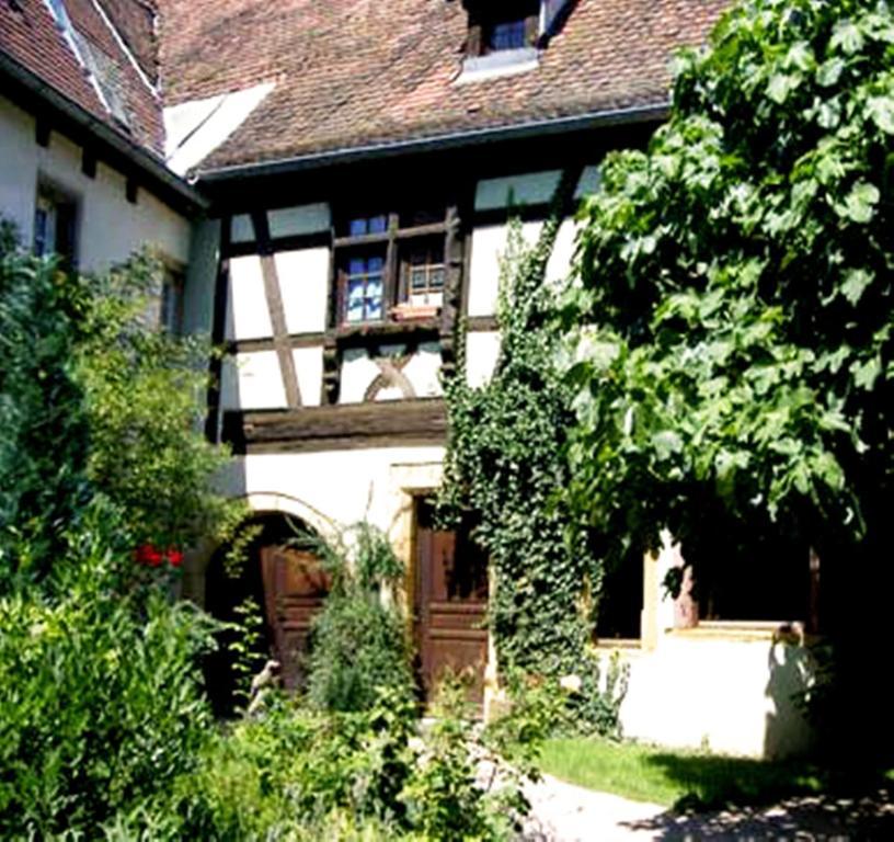 Apartment La Grenouille *